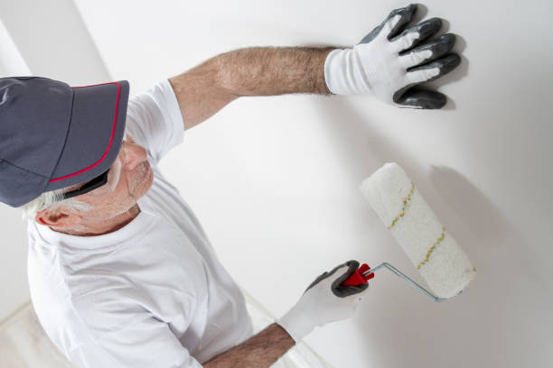 Best Industrial Mold Remediation  in Orcdlands Estates, HI