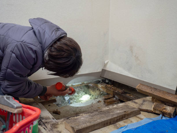 Best Air Quality Testing for Mold Spores  in Orcdlands Estates, HI