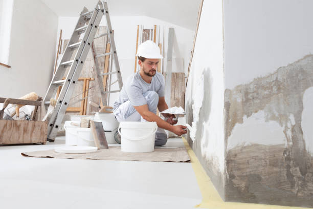Best Commercial Mold Inspection  in Orcdlands Estates, HI