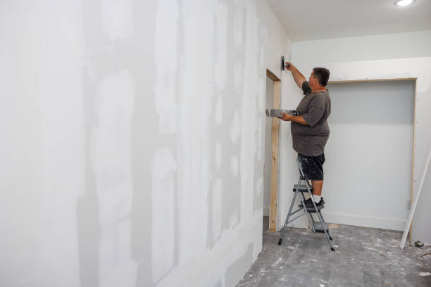 Best Attic Mold Removal  in Orcdlands Estates, HI