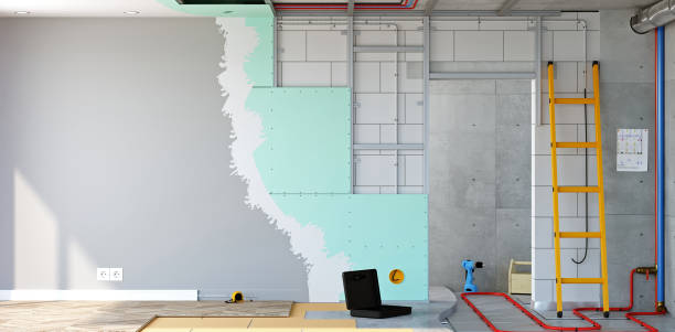 Mold Remediation for Vacation Homes in Orchidlands Estates, HI